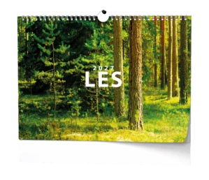 Nástěnný kalendář - Les