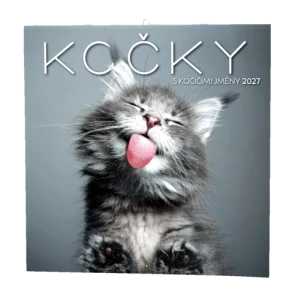 Nástěnný kalendář - Kočky