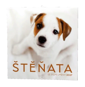 Nástěnný kalendář - Štěňata