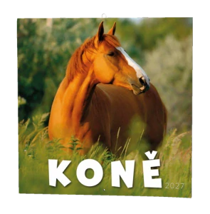 Nástěnný kalendář - Koně