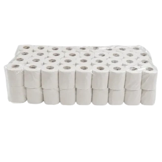 Toaletní papír 2vr recykl 65%, 250 útr, 29m (72ks)